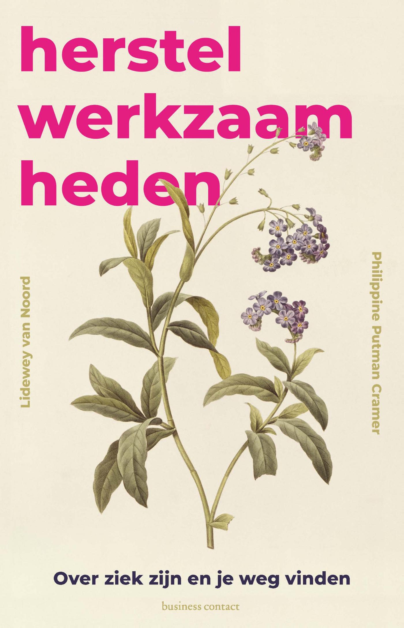 Omslag van Herstelwerkzaamheden