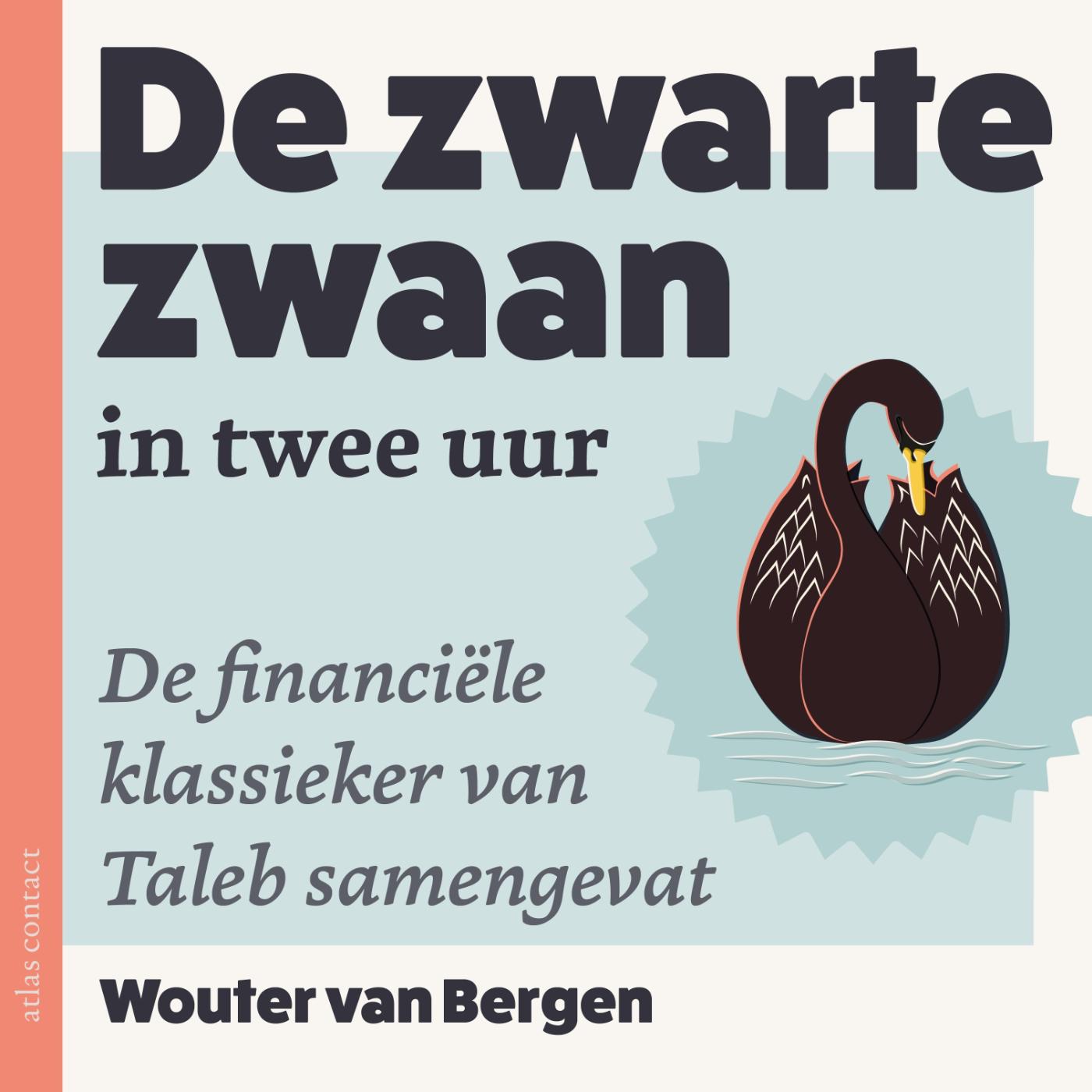 Omslag van De Zwarte Zwaan in twee uur