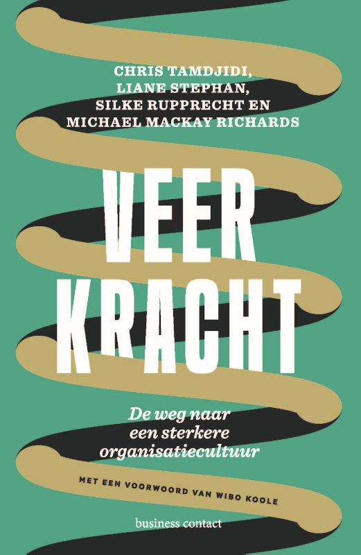 Omslag van Veerkracht