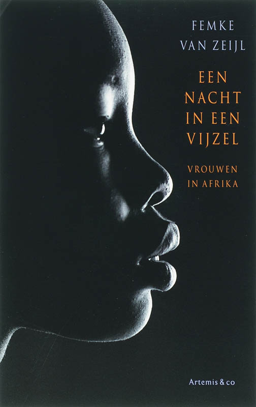 Omslag van Een nacht in een vijzel