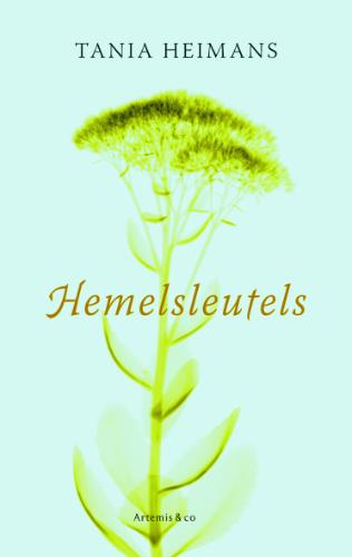 Omslag van Hemelsleutels