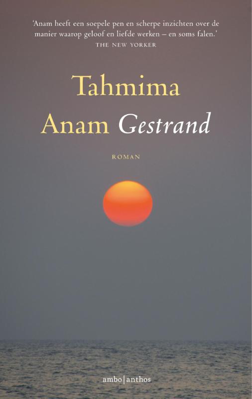 Omslag van Gestrand