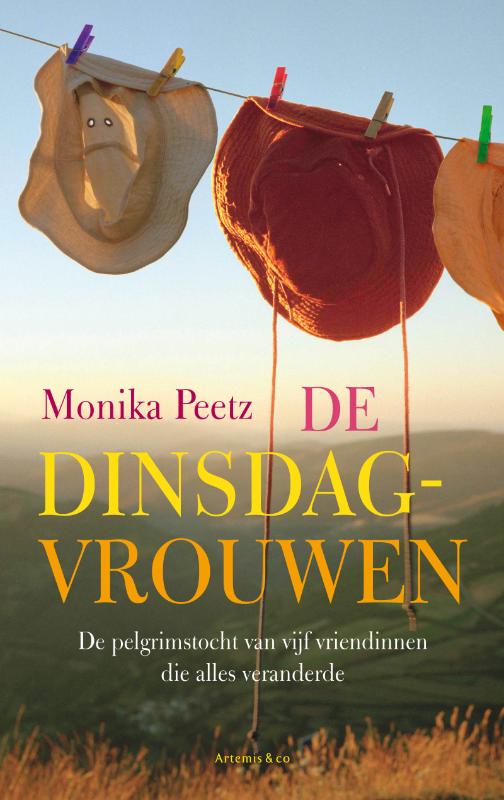 Omslag van De dinsdagvrouwen