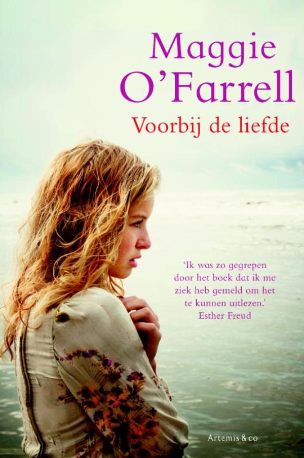 Omslag van Voorbij de liefde