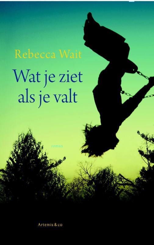 Omslag van Wat je ziet als je valt