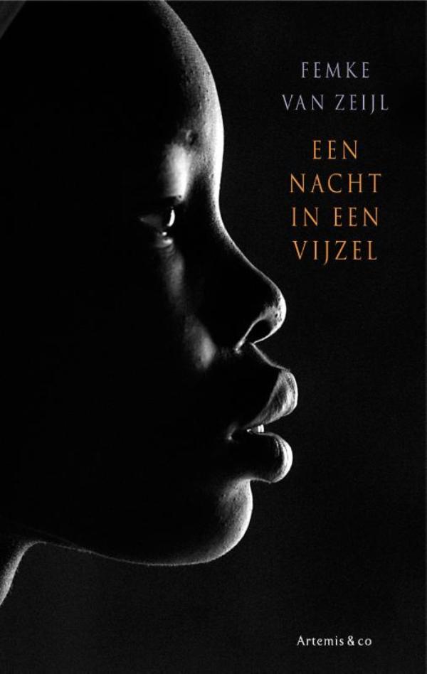 Omslag van Een nacht in een vijzel