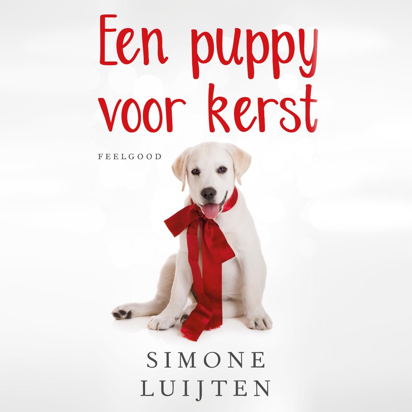 Omslag van Een puppy voor kerst