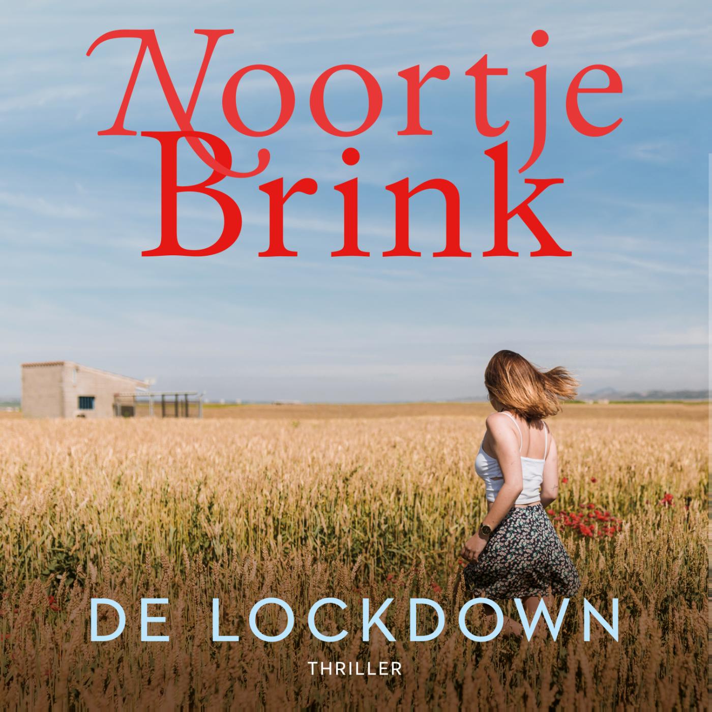 Omslag van De lockdown
