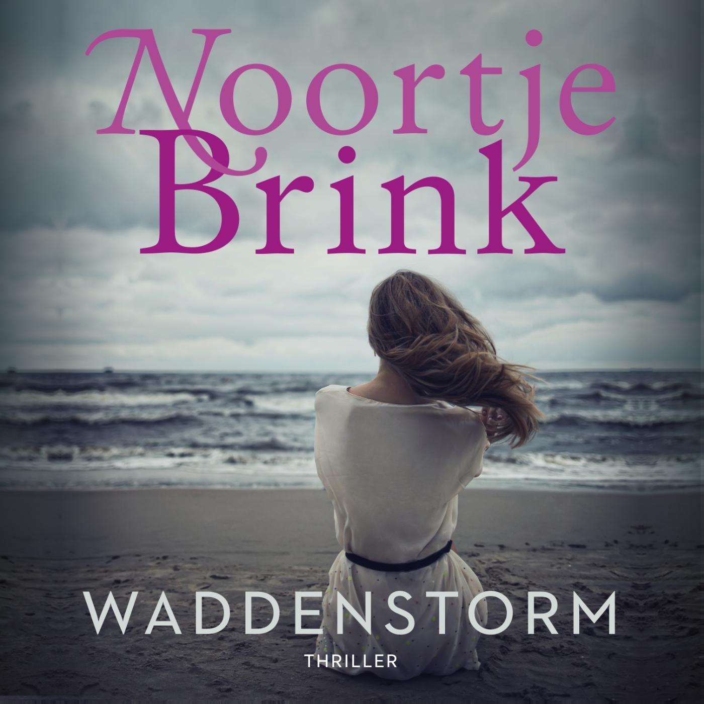 Omslag van Waddenstorm