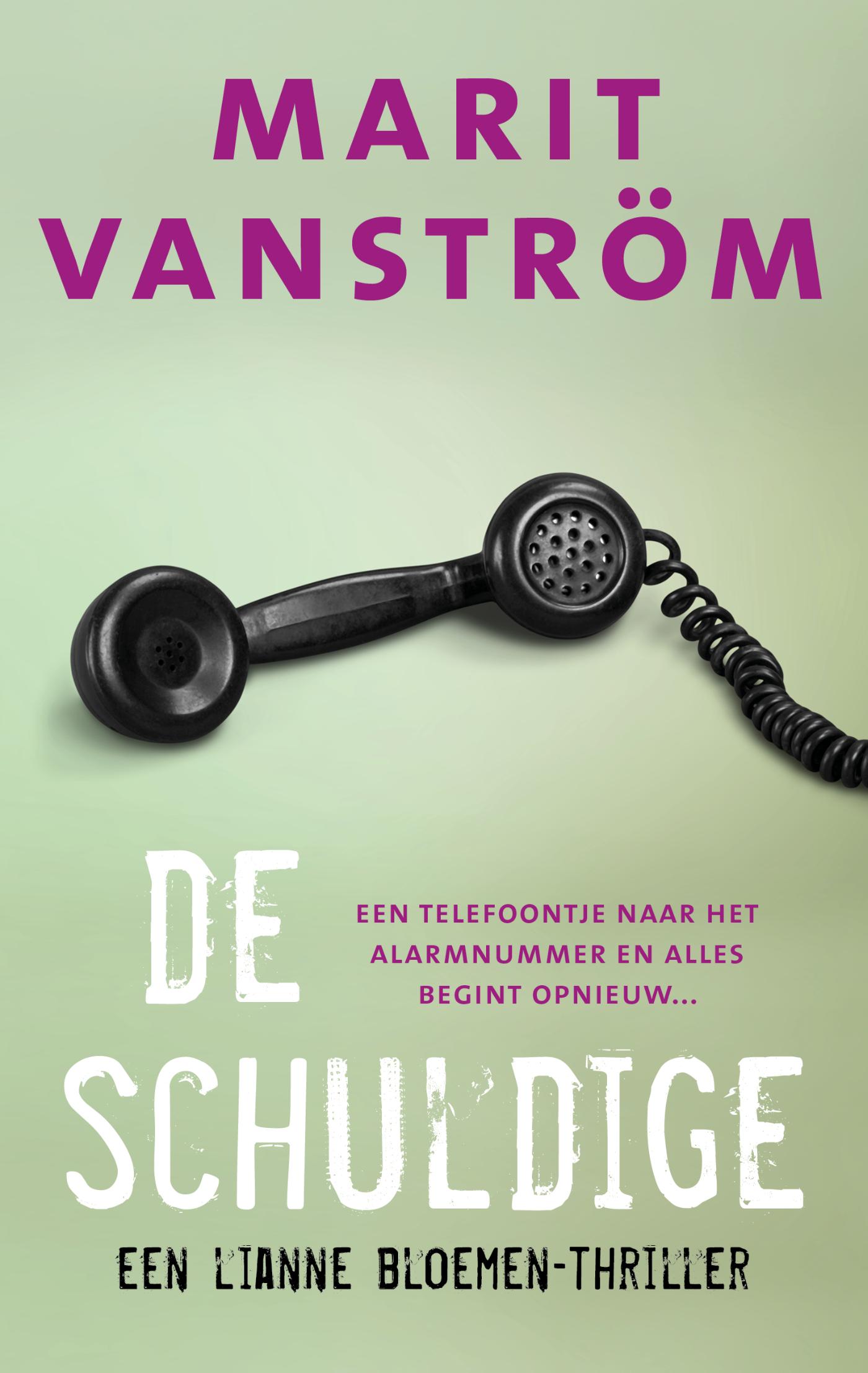 Omslag van De schuldige