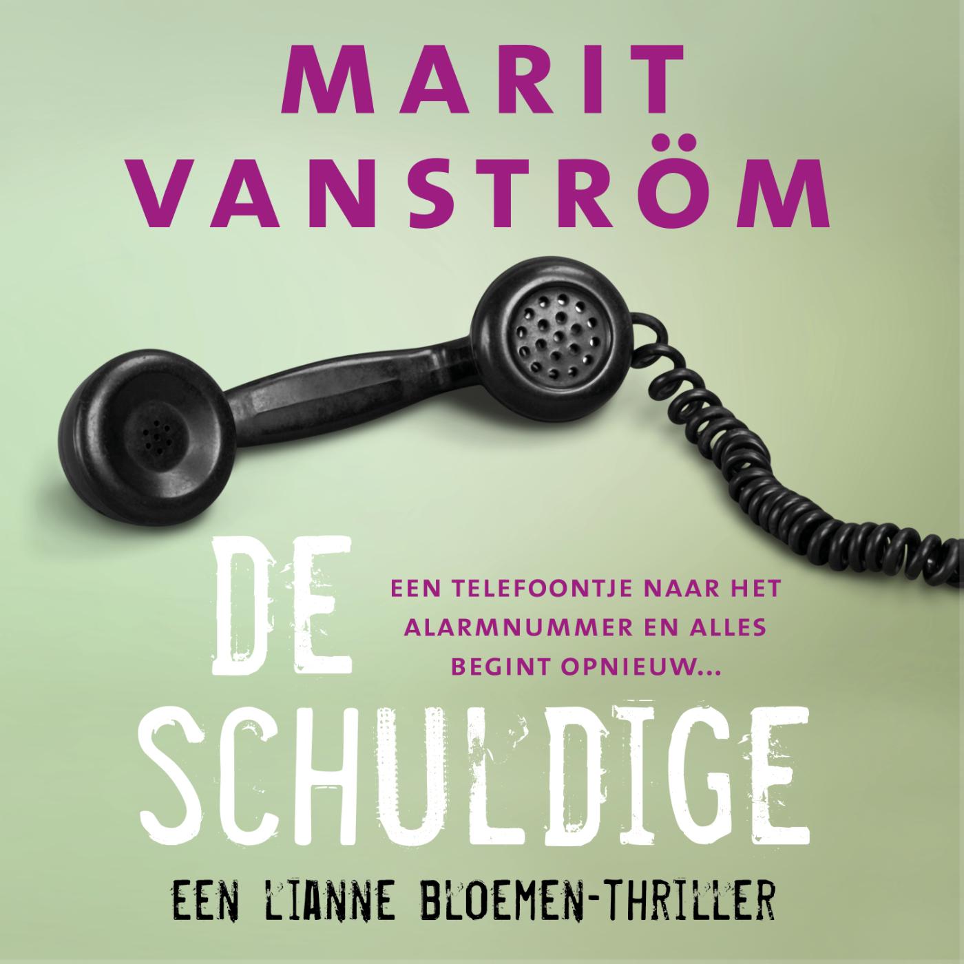 Omslag van De schuldige