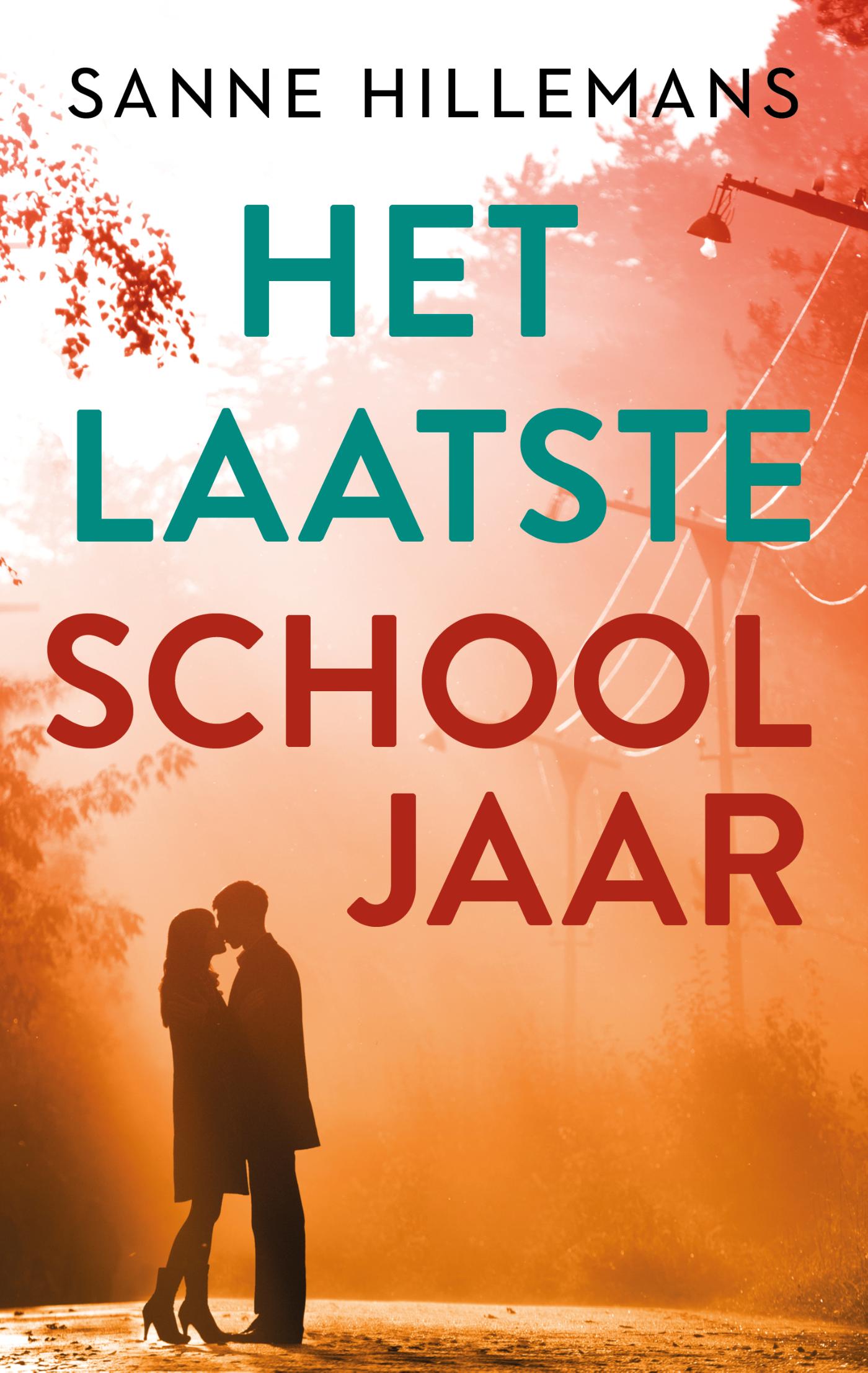 Omslag van Het laatste schooljaar