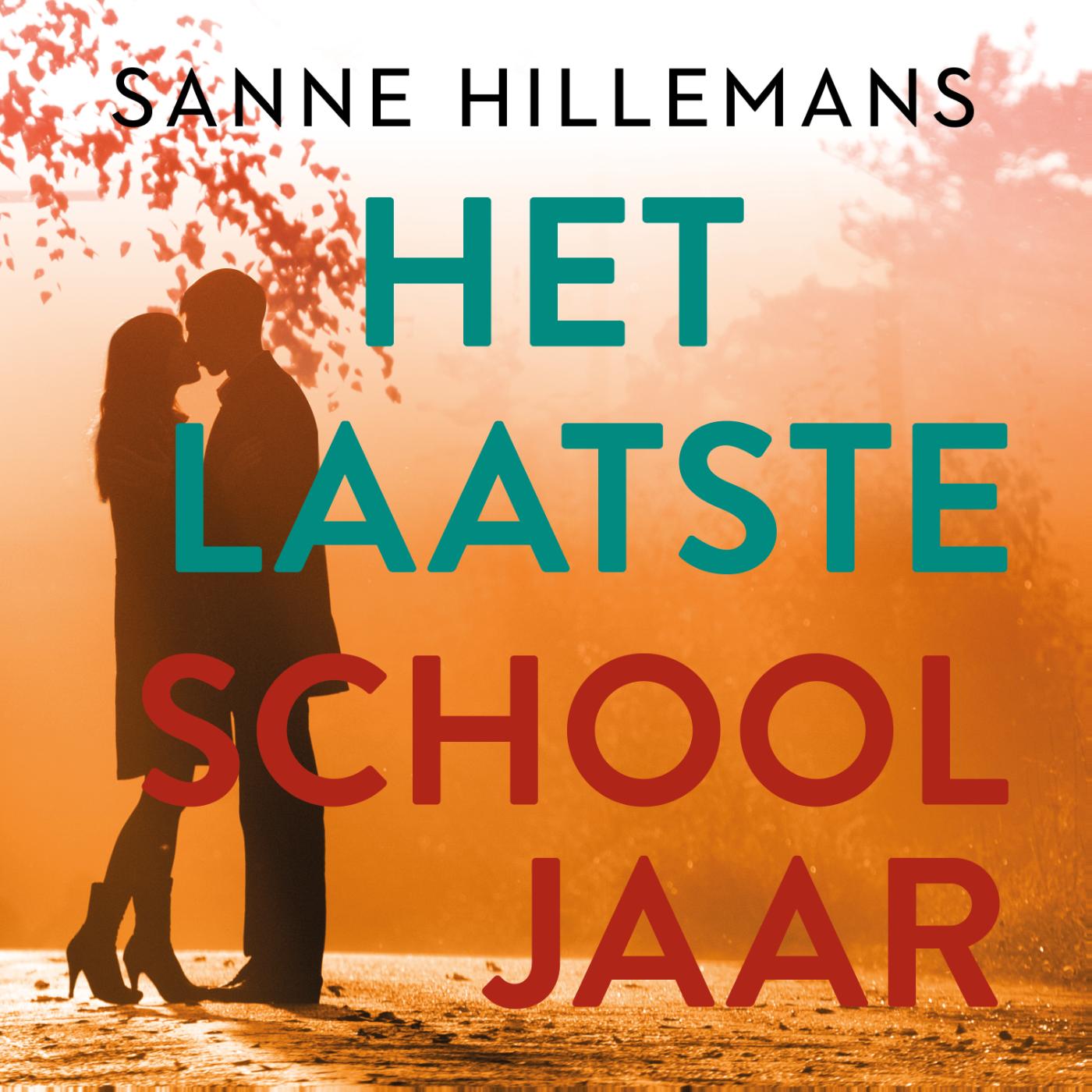 Omslag van Het laatste schooljaar
