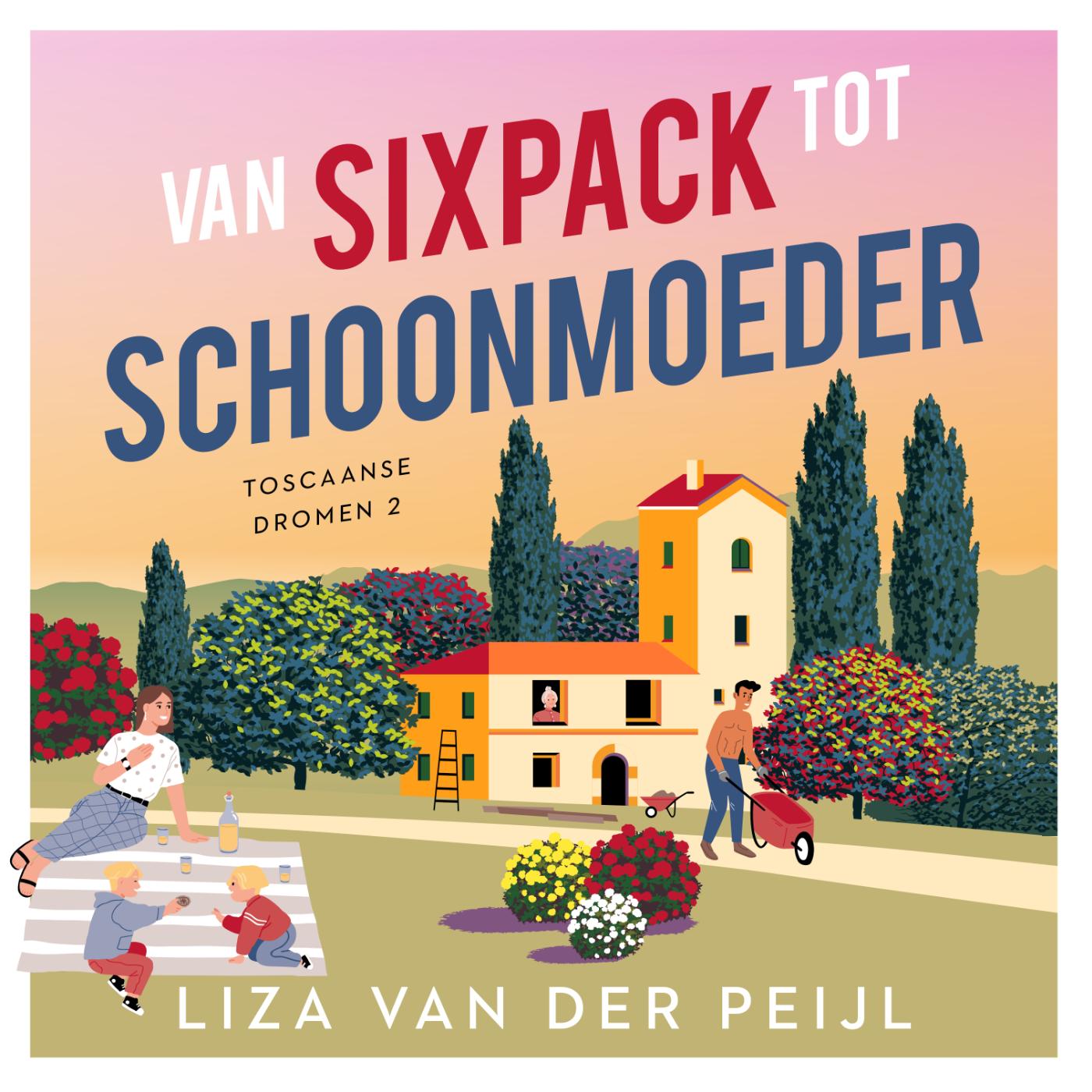 Omslag van Van sixpack tot schoonmoeder