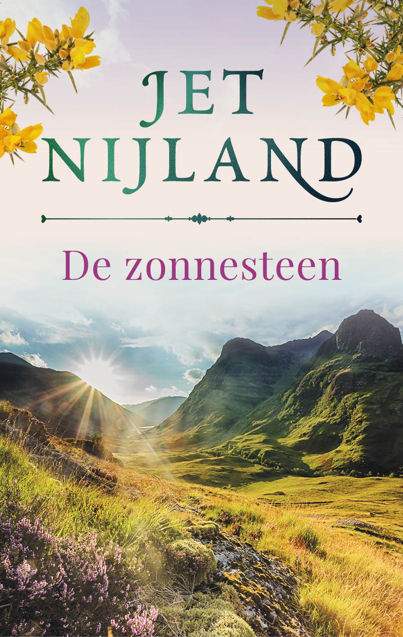 Omslag van De zonnesteen