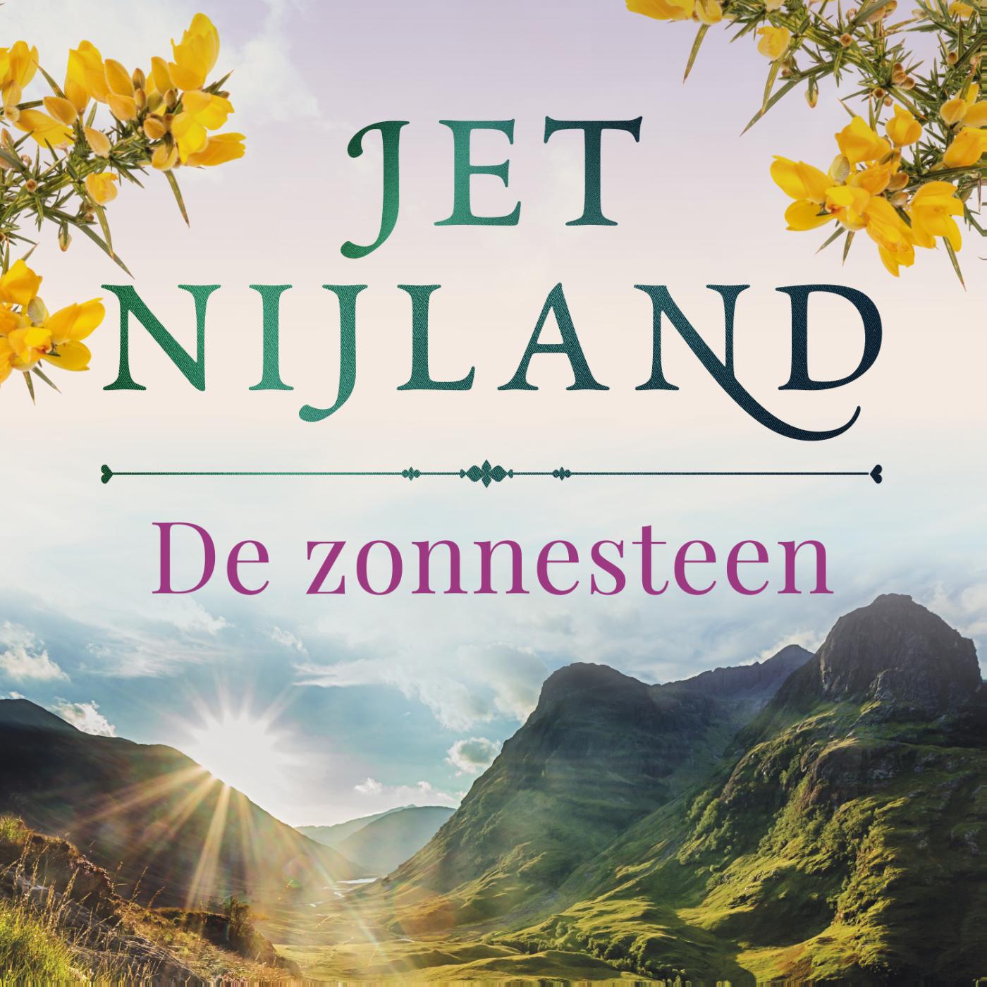 Omslag van De zonnesteen