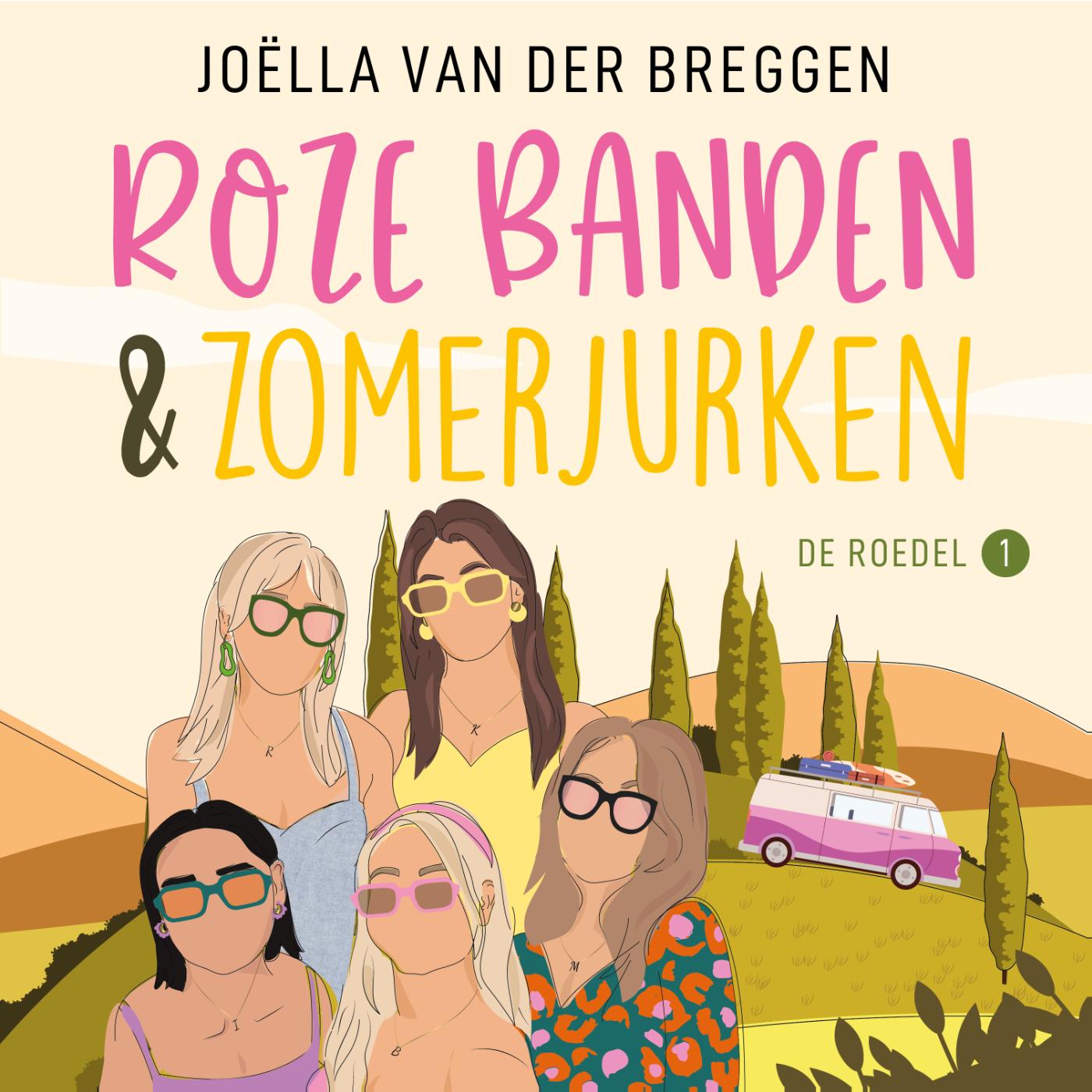 Omslag van Roze banden en zomerjurken