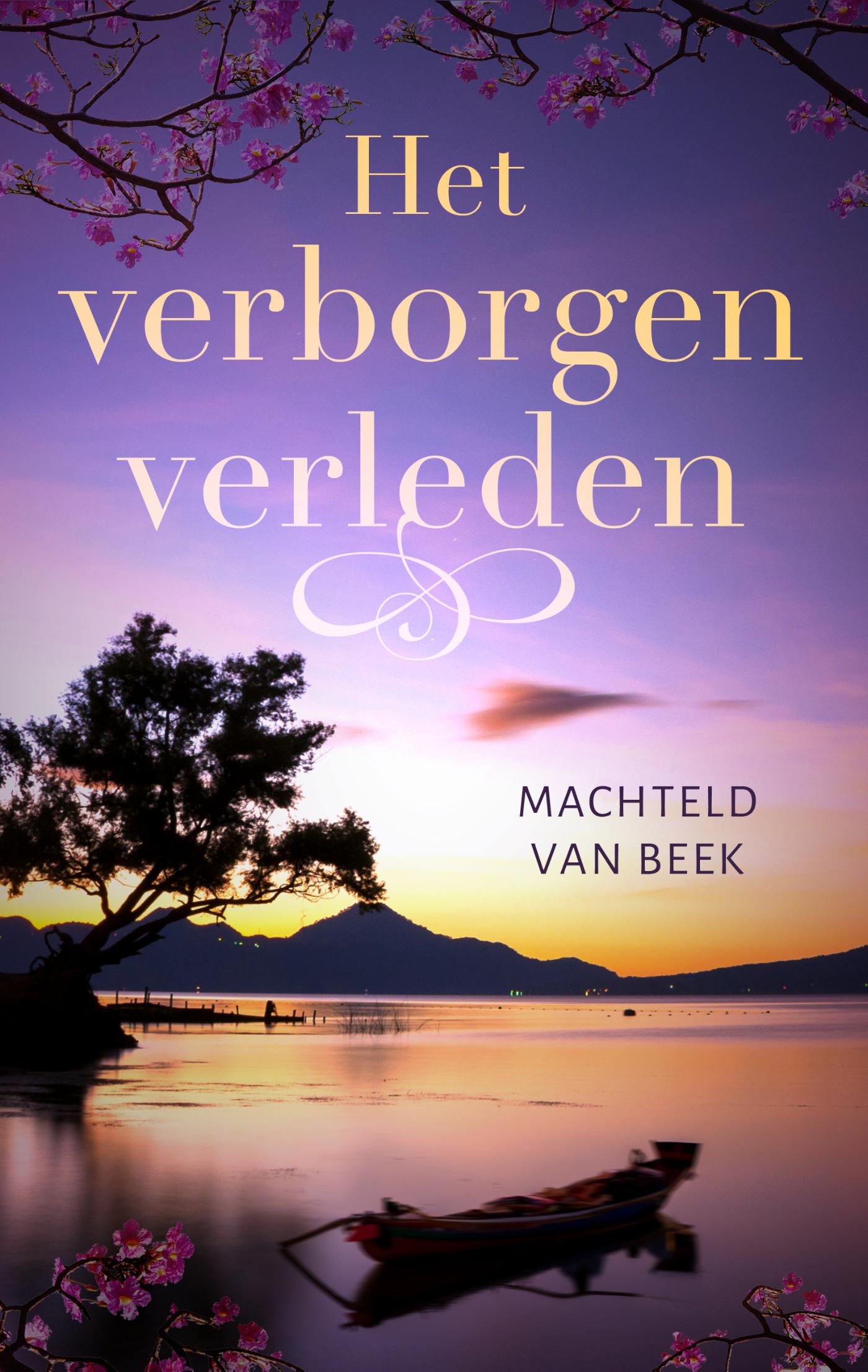 Omslag van Het verborgen verleden