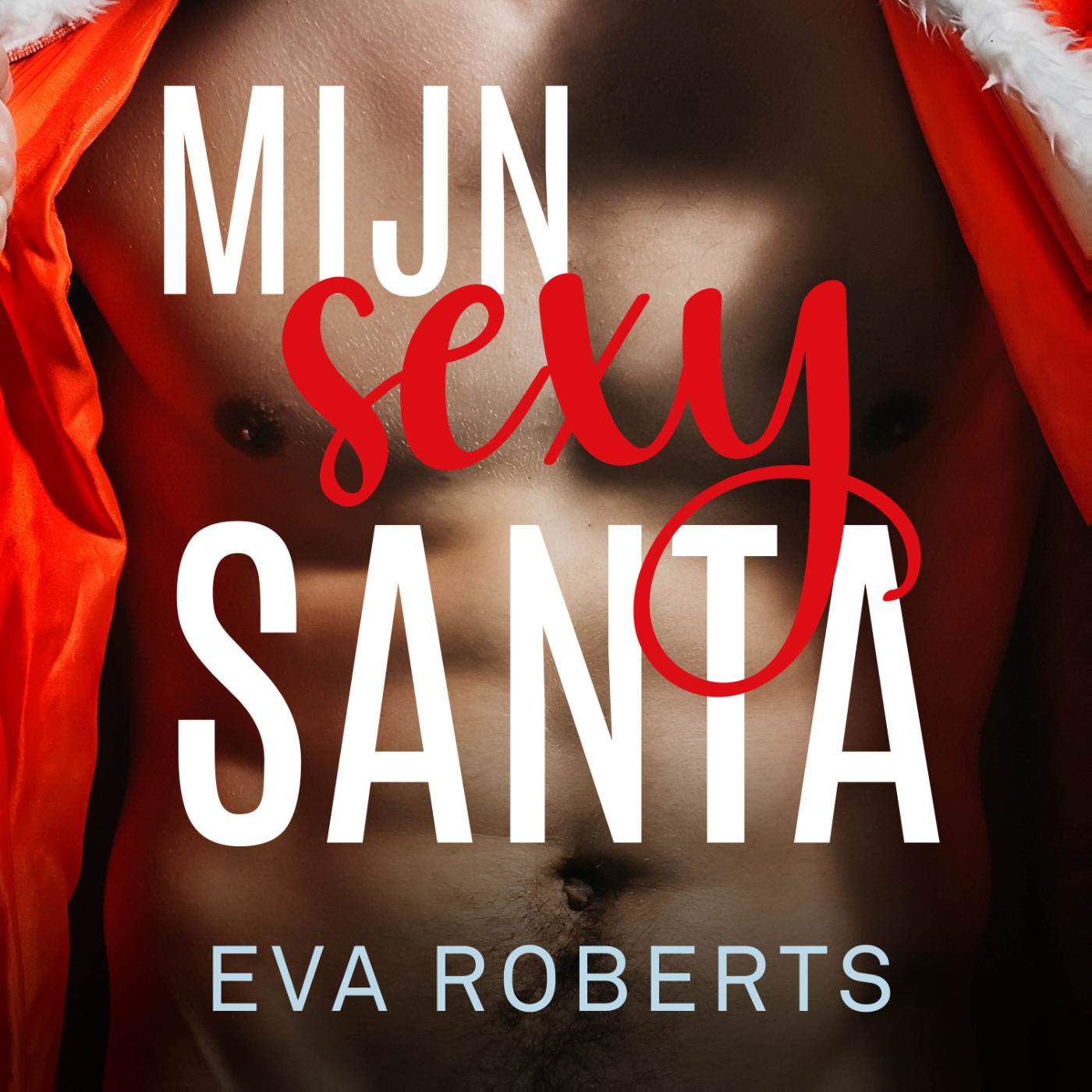Omslag van Mijn sexy santa