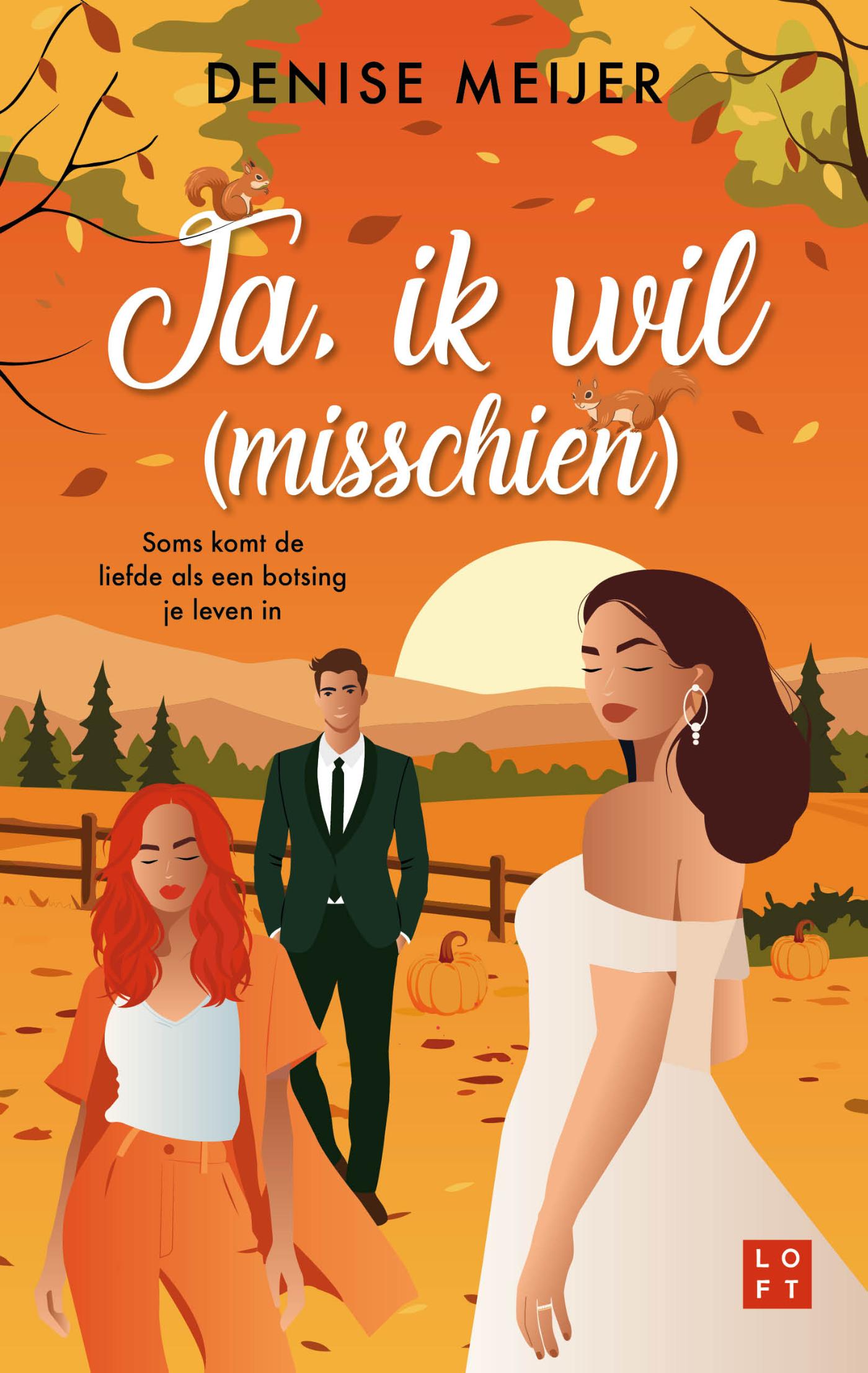 Omslag van Ja, ik wil (misschien)