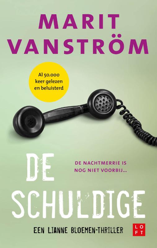 Omslag van De schuldige