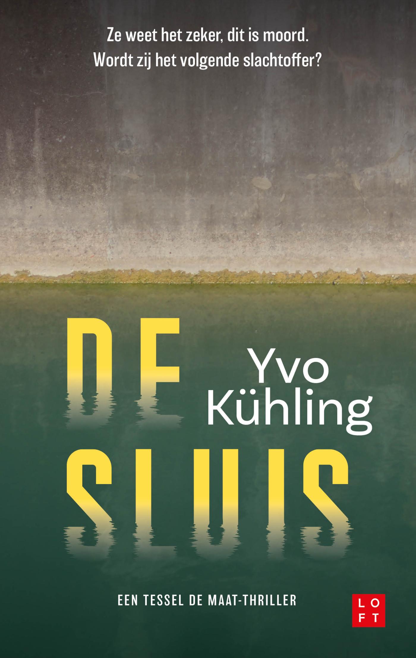 Omslag van De sluis
