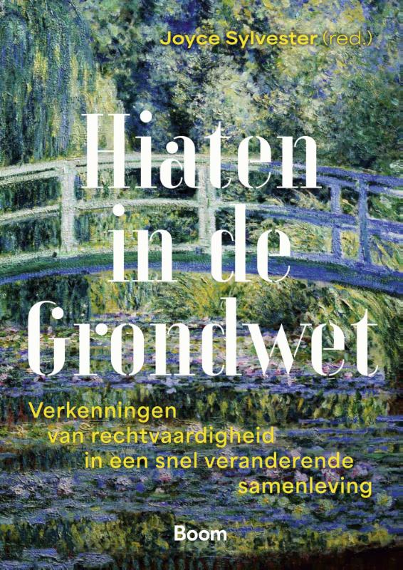 Omslag van Hiaten in de Grondwet