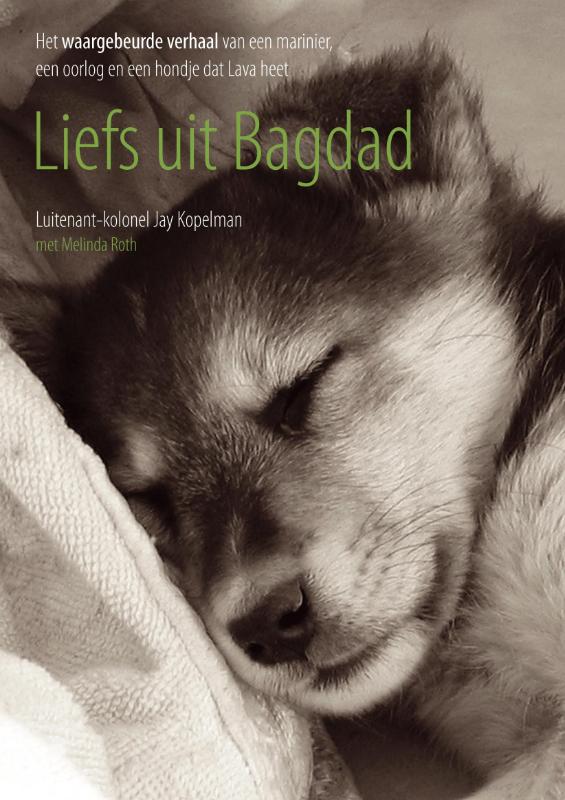 Omslag van Liefs uit Bagdad