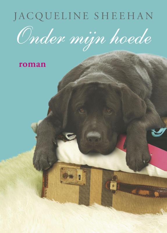 Omslag van Onder mijn hoede