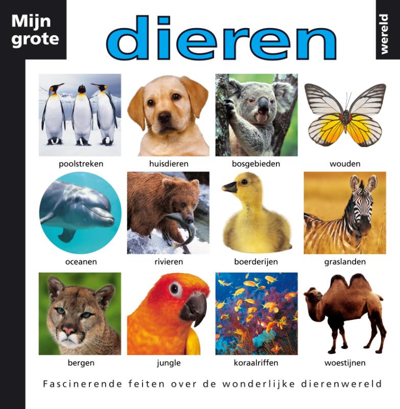 Omslag van Mijn grote dierenwereld