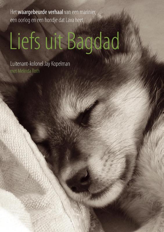Omslag van Liefs uit Bagdad