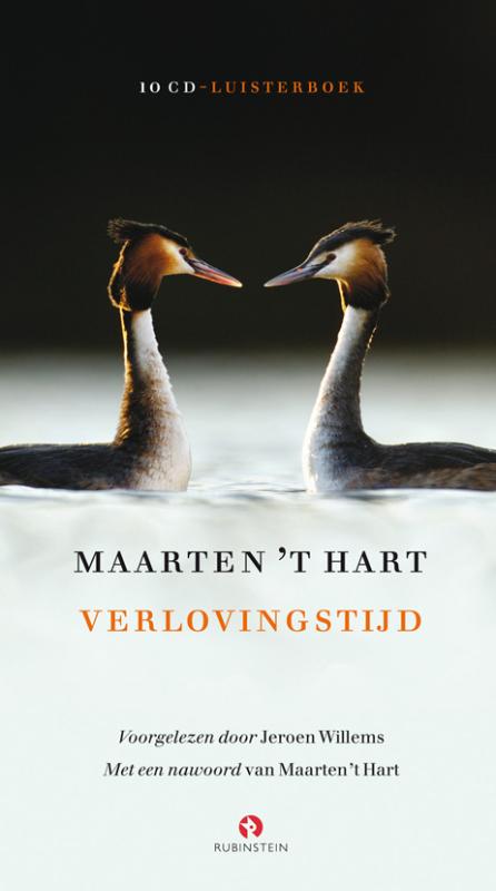 Omslag van Verlovingstijd