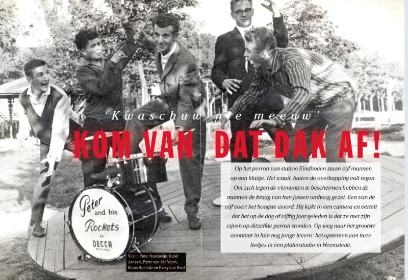 Omslag van Kom van dat dak af!