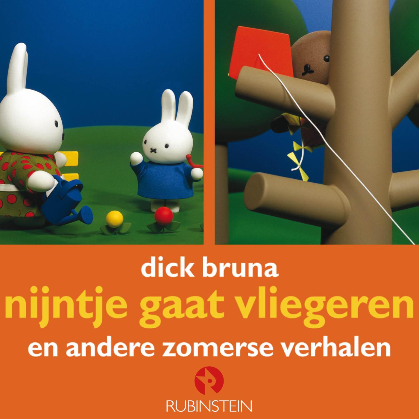 Omslag van Nijntje gaat vliegeren
