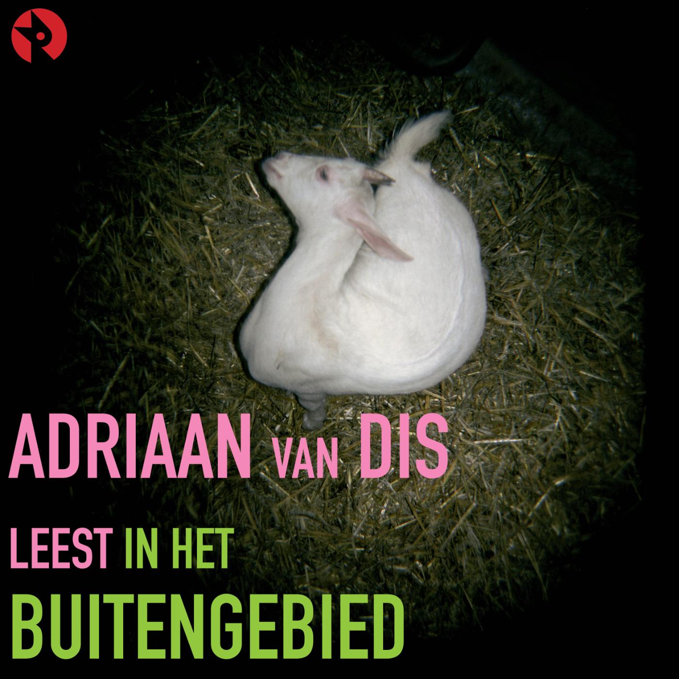 Omslag van In het buitengebied