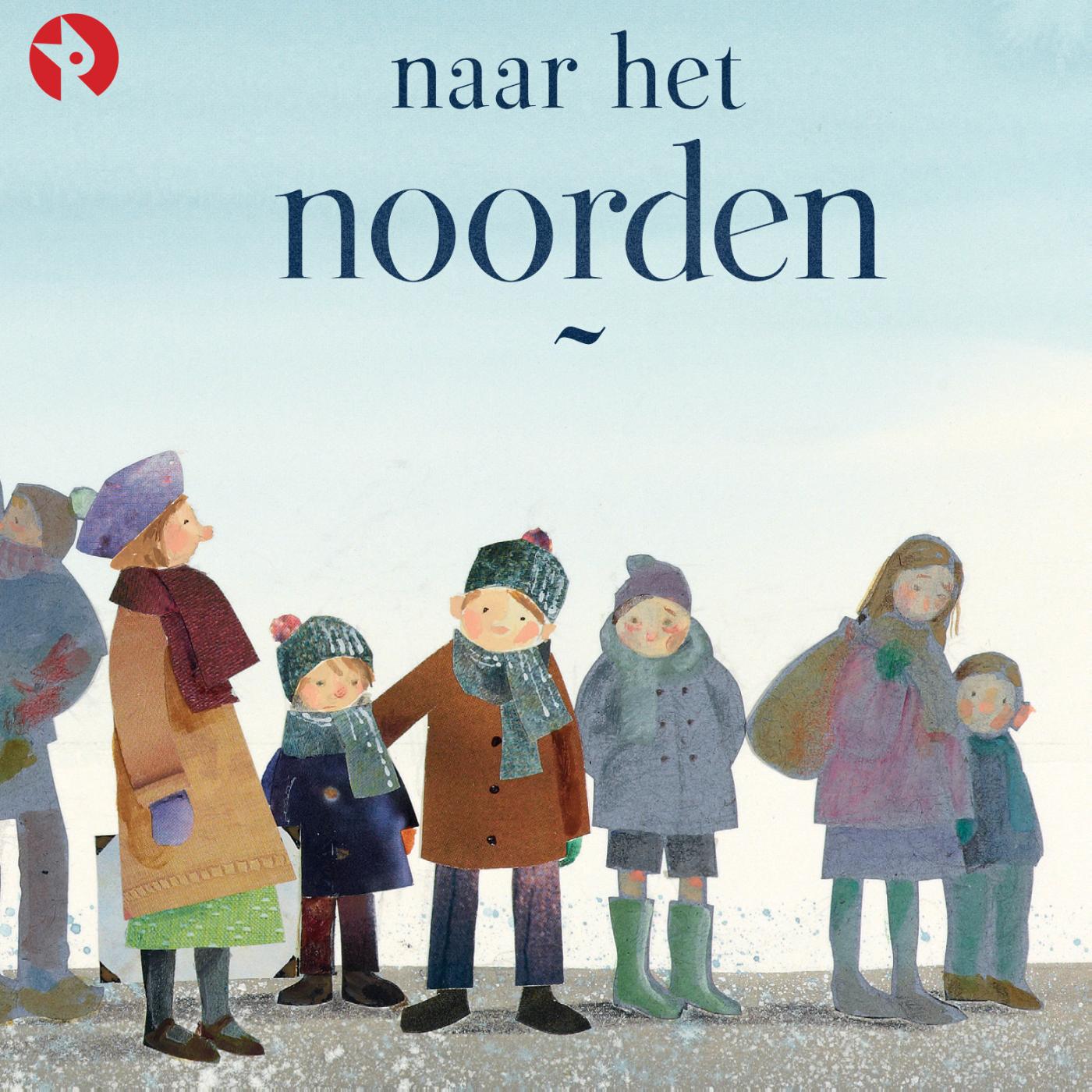 Omslag van Naar het noorden