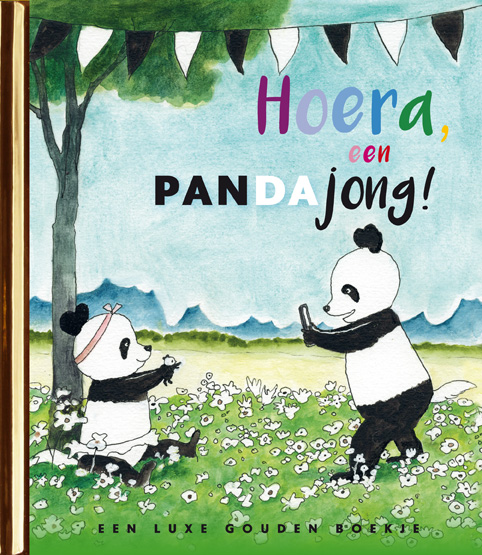 Omslag van Hoera, een pandajong!