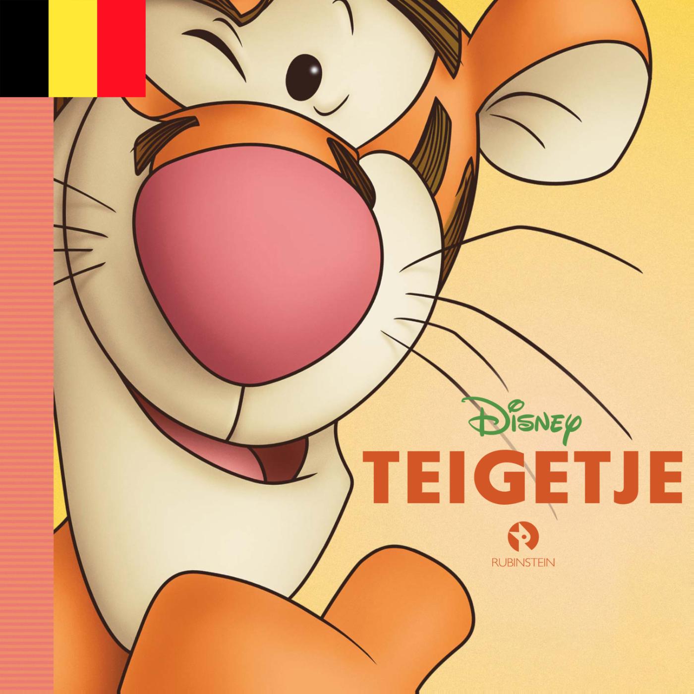Omslag van Teigetje