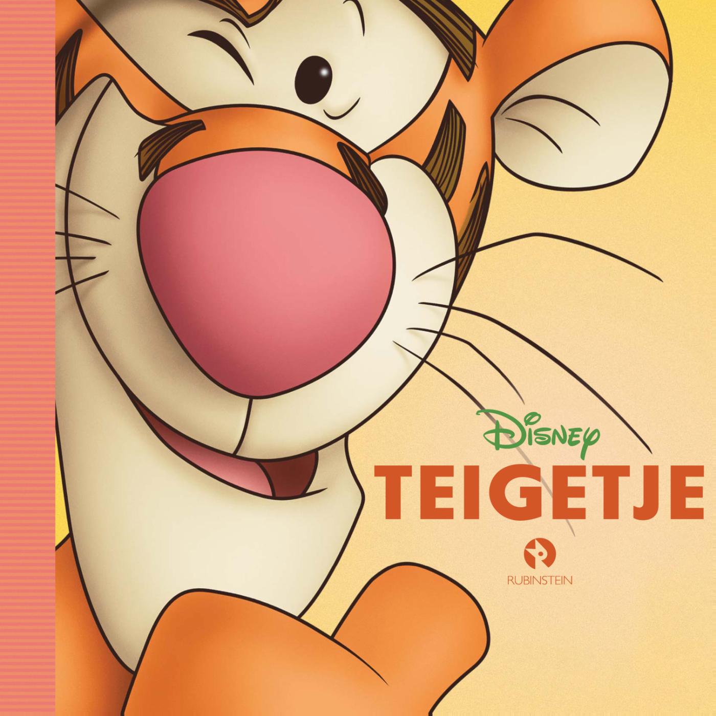 Omslag van Teigetje