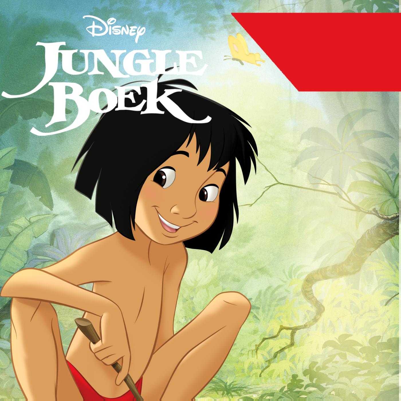 Omslag van Jungle Boek