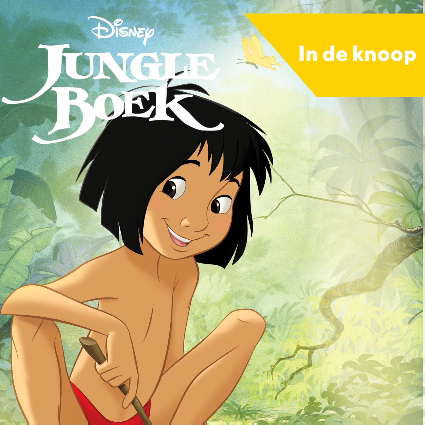 Omslag van Jungle Boek - In de knoop