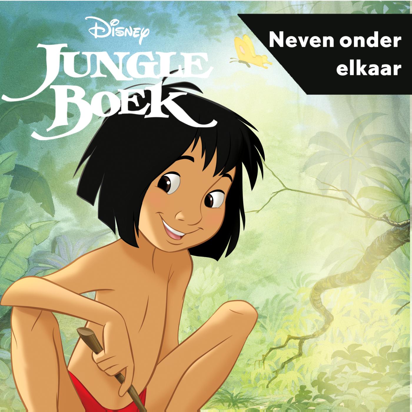Omslag van Jungle Boek - Neven onder elkaar