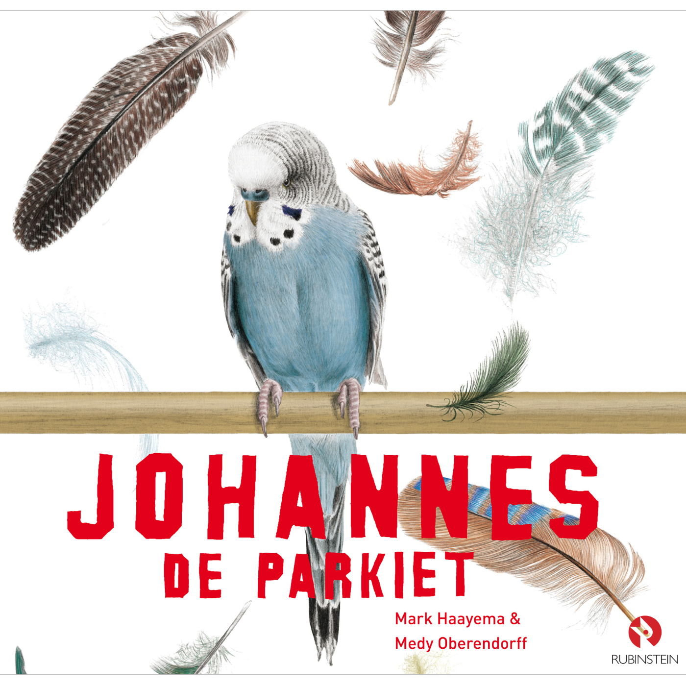 Omslag van Johannes de Parkiet