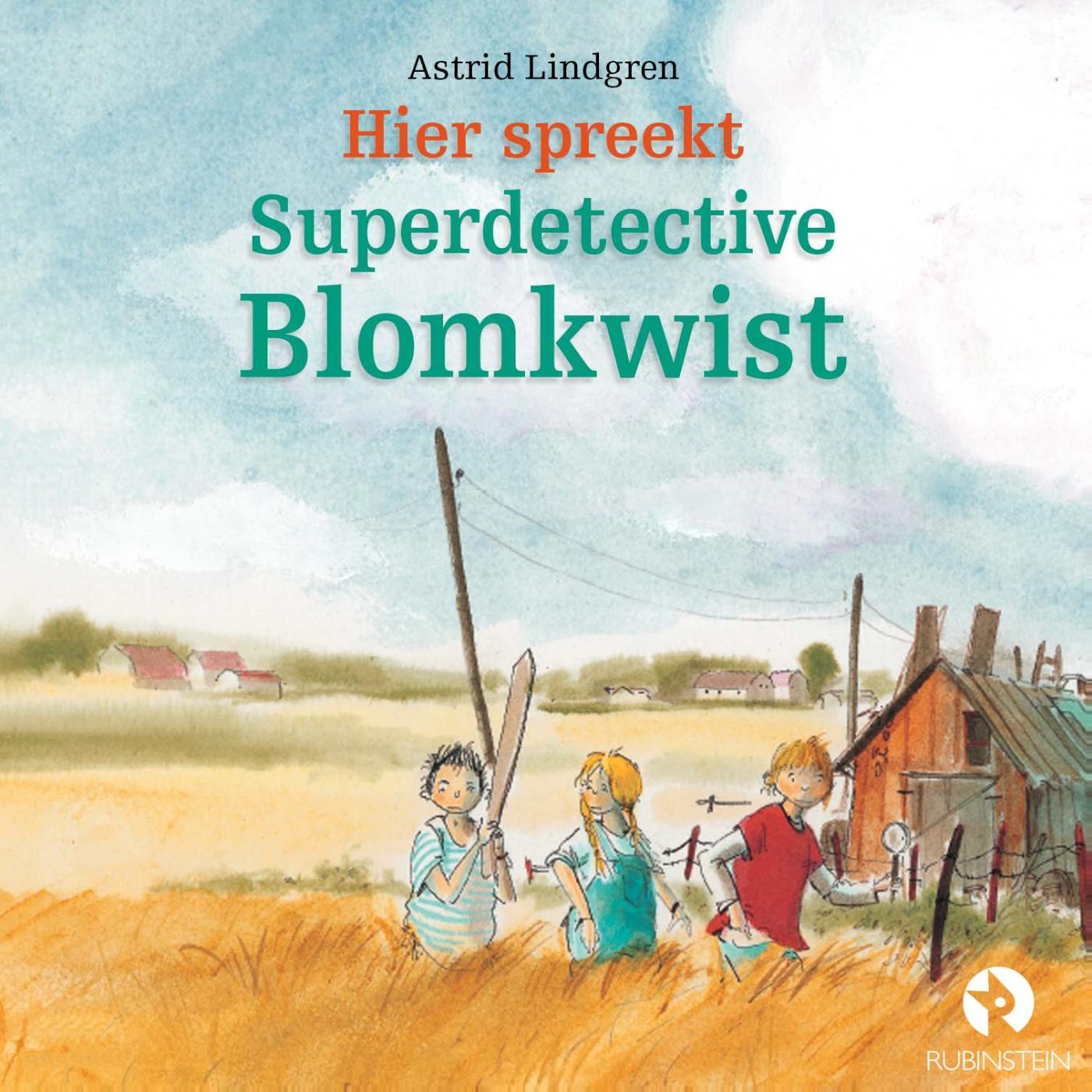 Omslag van Hier spreekt Superdetective Blomkwist