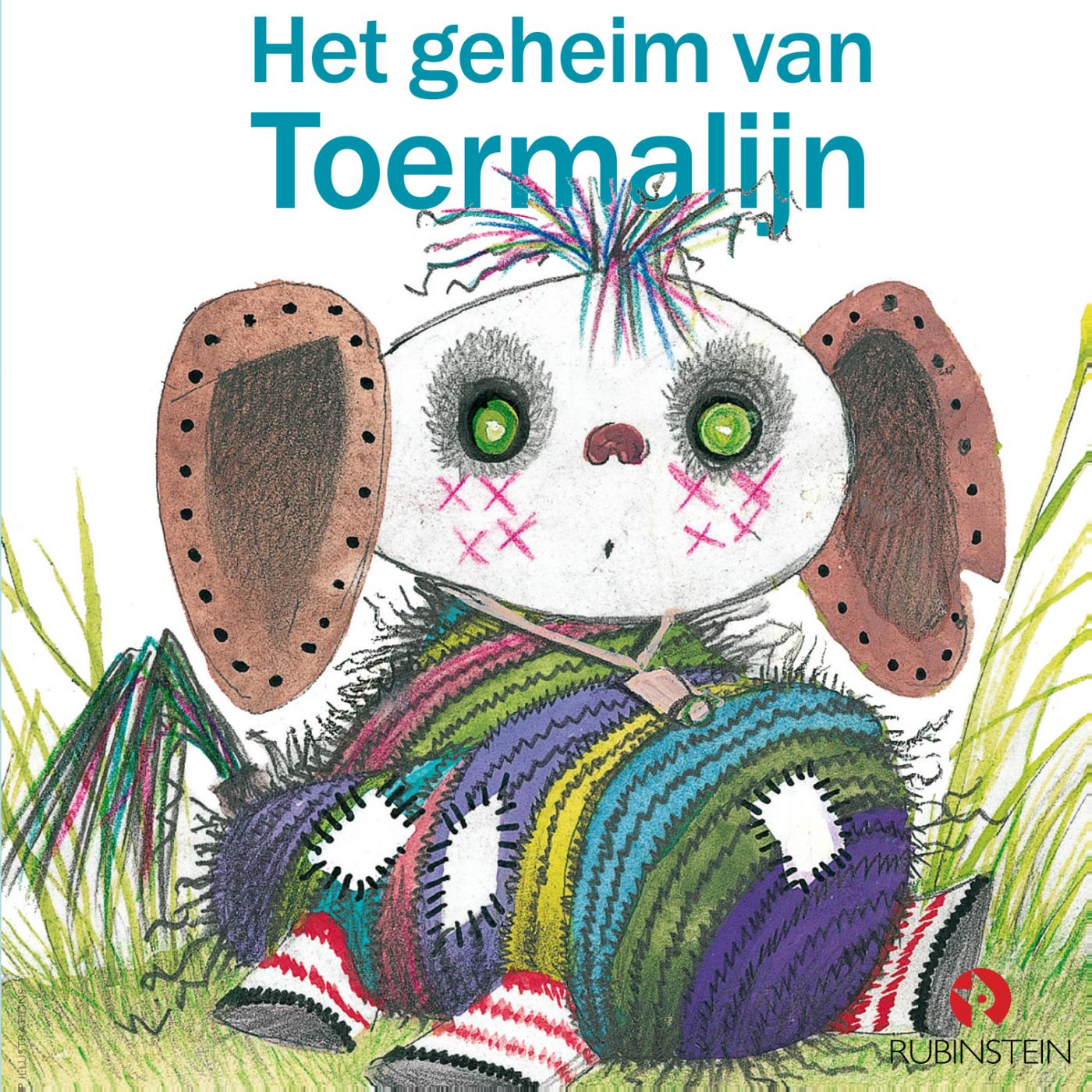 Omslag van Geheim van Toermalijn