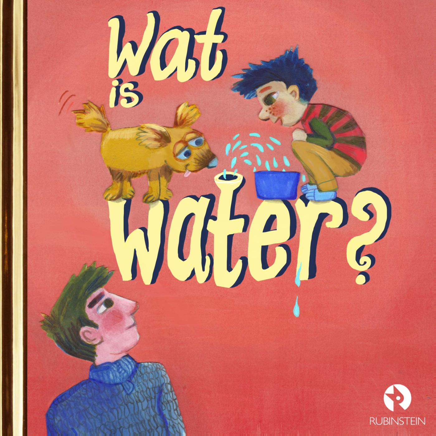 Omslag van Wat is water?