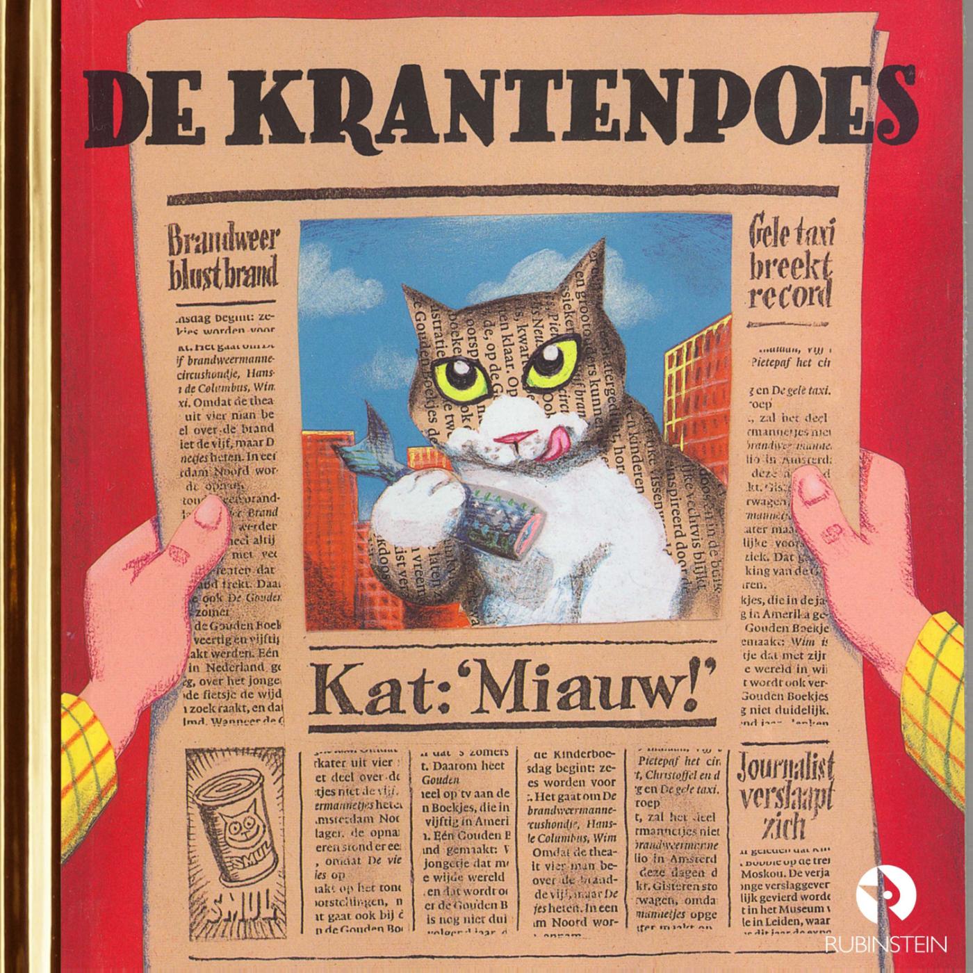Omslag van De krantenpoes