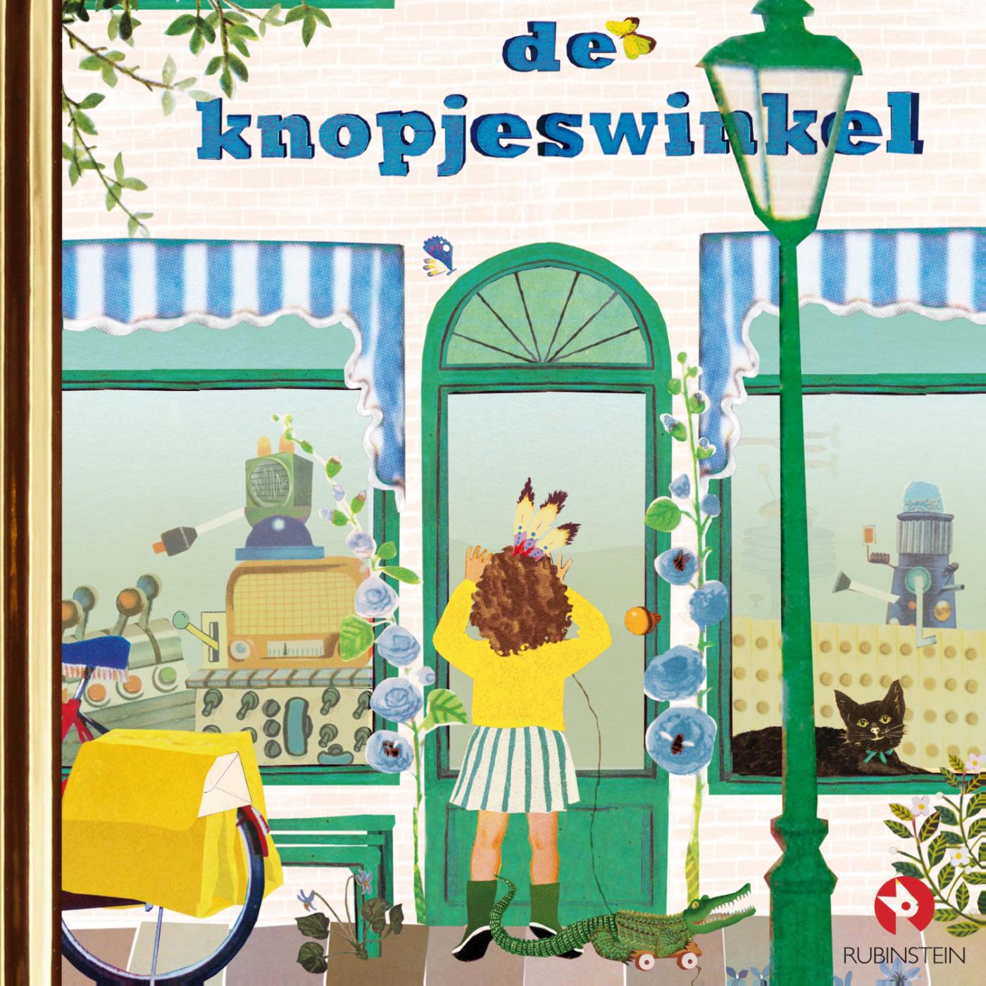 Omslag van De knopjeswinkel
