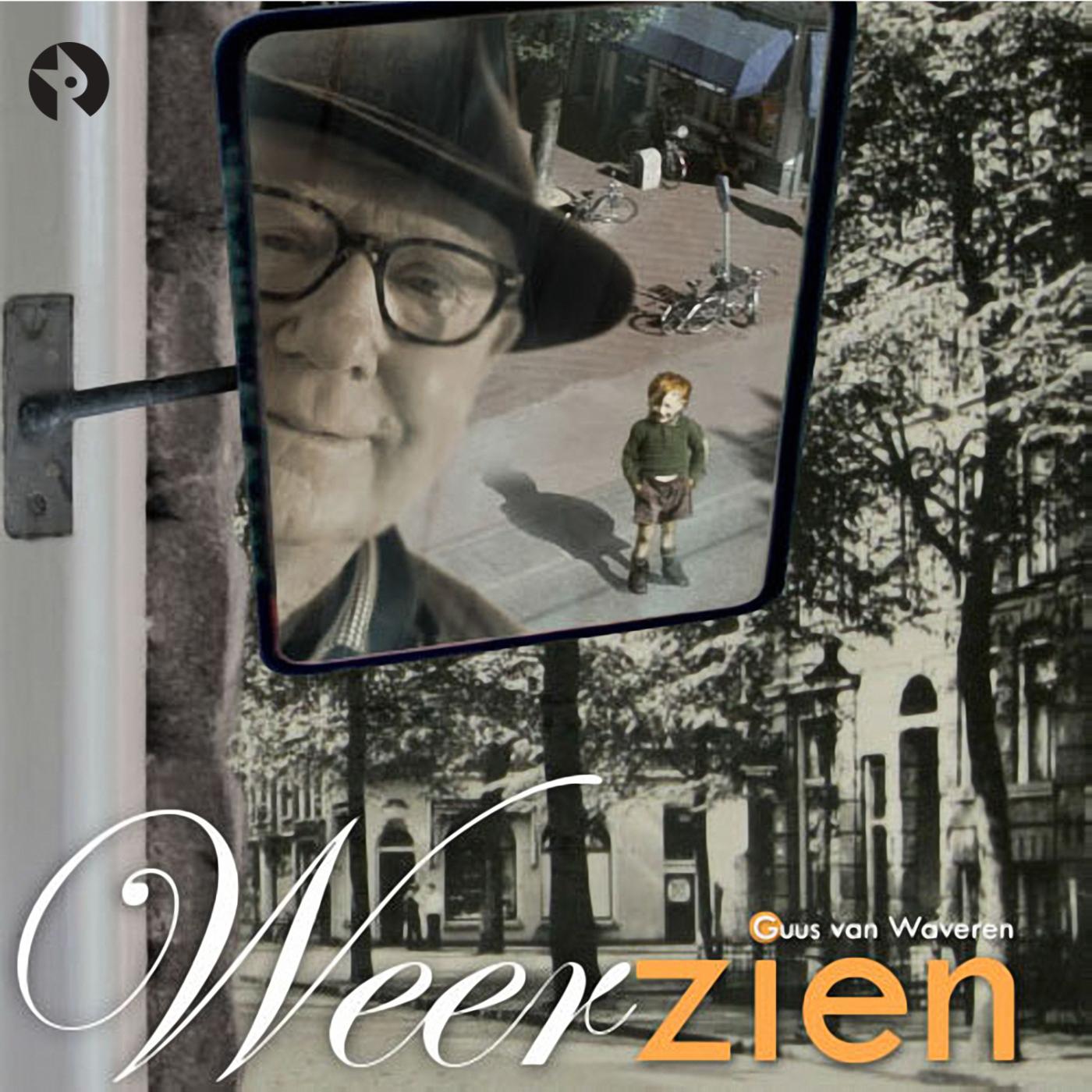 Omslag van Weerzien