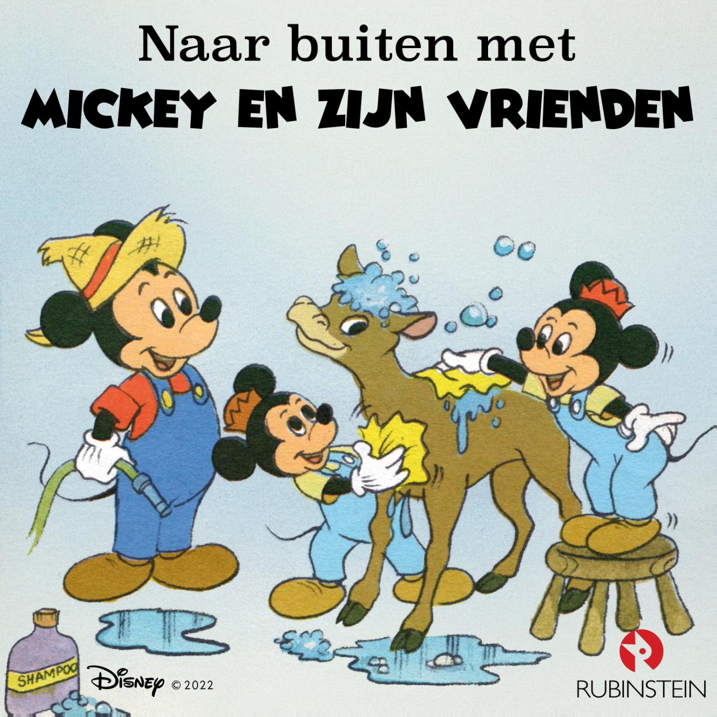 Omslag van Naar buiten met Mickey en zijn vrienden